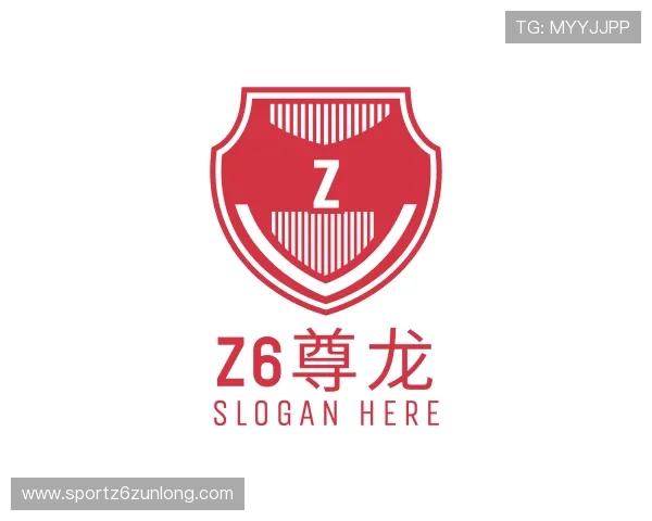 了解z6尊龙